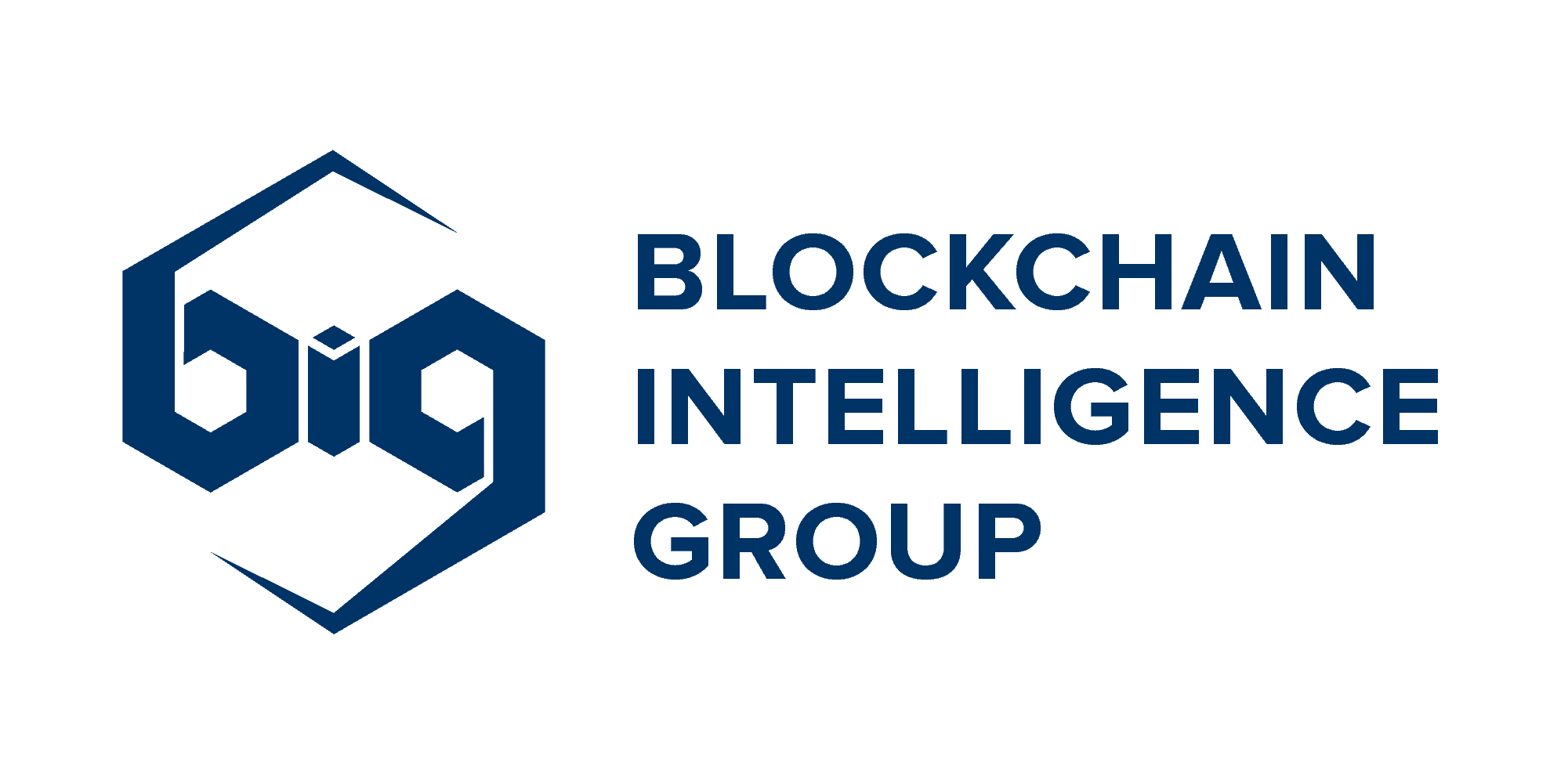 Blockchain Intell Group Logo Blue